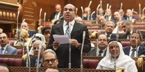 الهضيبي: قضية الطفلة مريم أصبحت في ذمة الدولة المصرية