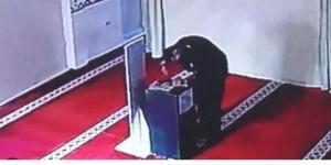 جريمة غريبة في بيت الله: ضبط عاطل سرق هاتفا من مسجد في مصر