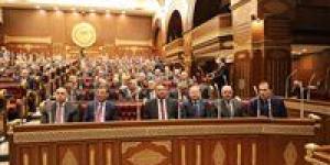 وزير الداخلية يُخطر مجلس الشيوخ بخلو مقعد النائب ثروت فتح الباب