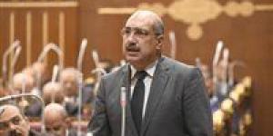 رئيس برلمانية الشعب الجمهوري بالشيوخ: "حبى الله مصر برئيس متدين تصدي للجماعات الإرهابية"