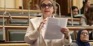 تحرك برلماني حول وقائع غش بالبنزين أضرت بمئات المواطنين