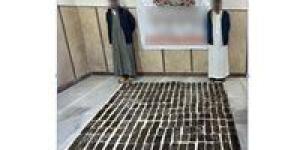 ضبط عنصرين إجراميين بمطروح بحوزتهما 25 كيلو حشيش بقيمة 2 مليون جنيه