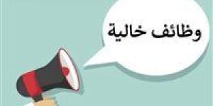 وظائف المدرسة المصرية الدولية بالشيخ زايد.. الشروط وطريقة التقديم