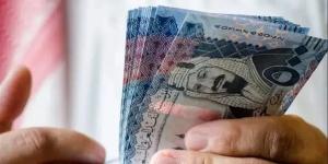 سعر الريال السعودي مقابل الجنيه المصري اليوم الثلاثاء 3 يونيو 2025