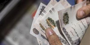 أعلى شهادة ادخار في مصر قبل اجتماع البنك المركزي المصري لحسم الفائدة 2025