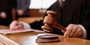 استئناف المنصورة يحدد 13 يوليو لنظر طعن قاتلة الطفلة "لميس الصياد" على حكم الإعدام