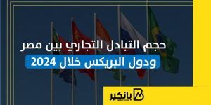 حجم التبادل التجاري بين مصر ودول البريكس خلال 2024 | إنفوجراف
