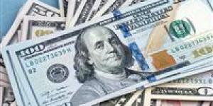سعر الدولار اليوم الأحد في عدد من البنوك المصرية