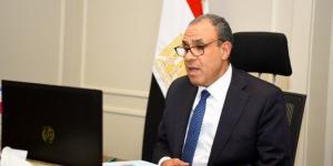 مصر.. وزير الخارجية يشارك في اللقاء الافتراضي مع الجالية المصرية في بريطانيا