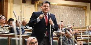 نائب التنسيقية: مصر تواجه حروبًا اقتصادية ممنهجة.. والتوقيت الراهن يستلزم اصطفافًا وطنيًا