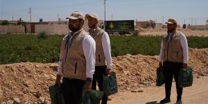"بيت الزكاة والصدقات" ينتهي من توزيع لحوم الأضاحي على الآلاف من الأسر المستحقة بـ4 محافظات
