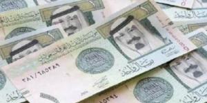 سعر الريال السعودي اليوم الثلاثاء 17-6-2025 في البنوك