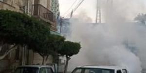 حملات موسعة لمكافحة ناقلات الأمراض ودورات تدريبية لرفع كفاءة الطواقم الطبية بالبحيرة