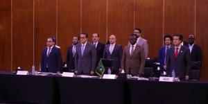 وزير الصحة والسكان يفتتح اجتماع اللجنة التوجيهية الإقليمية ReSCO