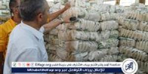 وكيل وزارة تموين الإسكندرية: لدينا مخزون استيراتيجى كافي وآمن من السلع الأساسية