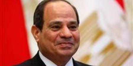 الرئيس السيسى يستقبل وزير خارجية العراق ويتسلم دعوة لحضور القمتين العربيتين
