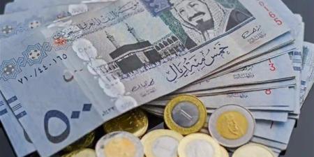 تراجع طفيف في سعر الريال السعودي أمام الجنيه المصري اليوم الإثنين 5 مايو 2025
