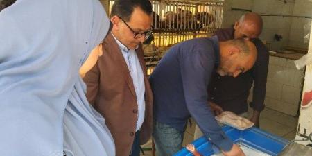 ضبط دواجن مجهولة المصدر غير صالحة للاستهلاك الادمي بحى شرق شبين الكوم