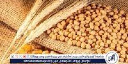 وزير الزراعة يكشف خطة تحقيق الاكتفاء الذاتي من القمح وتعزيز الصادرات لإفريقيا