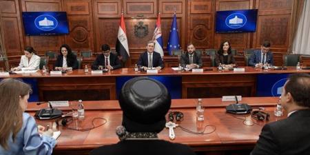 البابا تواضروس يبحث مع وزير الثقافة الصربي تعزيز التعاون المشترك