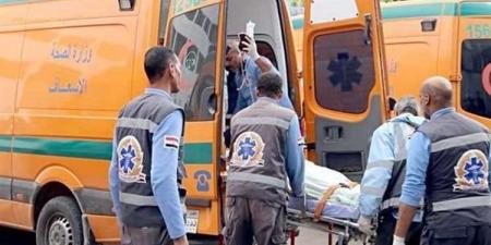 الدم بقا ميه.. مقتل مسنة على يد حفيدتها بالشرقية