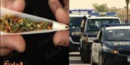 اقتحام أوكار الكيف.. ضبط 7 مليون جنيه حصيلة تجارة المخدرات والسلاح بالمحافظات