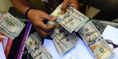 52 مليار دولار في 6 أشهر.. سر القفزة في التدفقات الدولارية