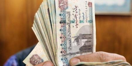 الفئات المسموح لها الجمع بين معاشين.. زيادة تصل إلى 30%