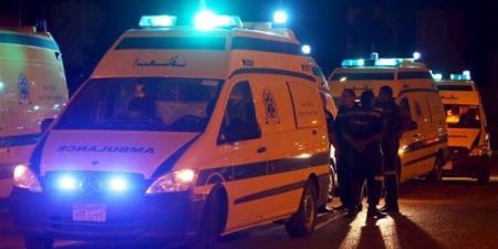 مشاجرة عنيفة بسبب خلافات الجيرة في دار السلام بسوهاج
