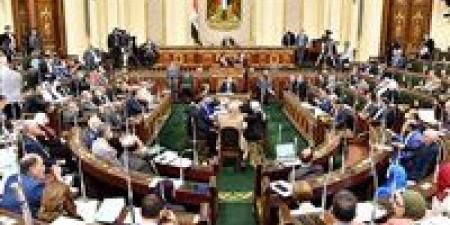 «النواب» يوافق على منحة الاتحاد الأوروبي لدعم استراتيجية مصر للسكان