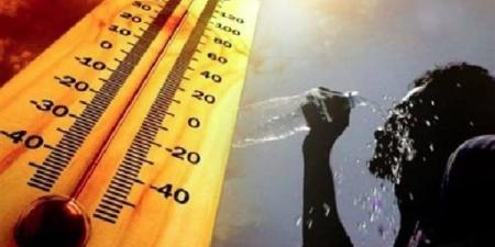 طقس معتدل في المنوفية اليوم.. والعظمى تسجل 33 درجة