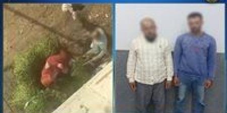 كشف ملابسات فيديو يتضمن تعدى شخصين على سيدة بالضرب في الدقهلية