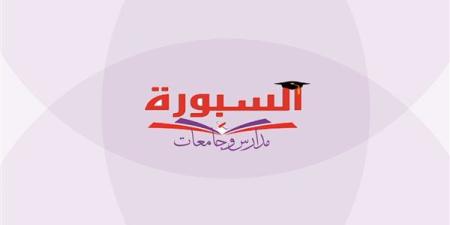 البطاقات المدفوعة مسبقًا الدولية في مصر.. تقدم خدمة PSTNET