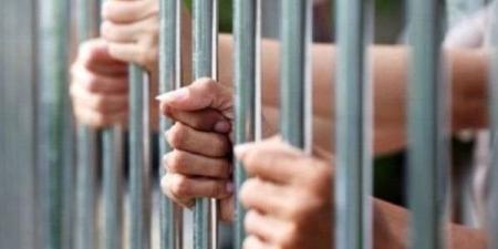 المشدد 6 سنوات وغرامة 50 ألف جنيه لعامل بتهمة الاتجار في المخدرات بالقليوبية