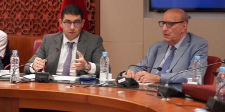 بنسعيد: نقاش "لجنة الصحافة" داخلي.. ومتابعة الإعلاميين ليست اختصاصي