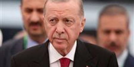 أردوغان: دعوة للتعاون الدولي من أجل السلام والاستقرار في المنطقة
