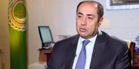 زكي: لا صحة لانسحاب أي طرف من القمة العربية