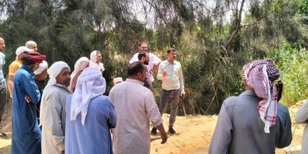 استخراج جذور الأشجار من شبكات قرية ميت أبو الكوم شرق الإسماعيلية