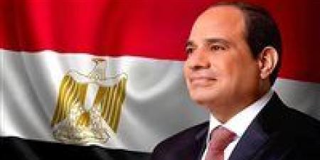 عاجل.. الرئيس السيسي يطمئن على صحة الفنان عبد الرحمن أبو زهرة