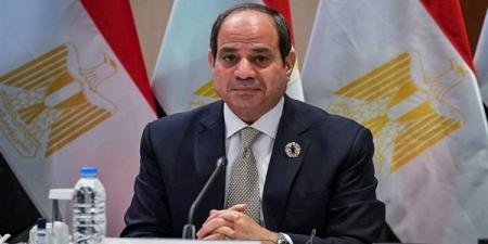 السيسي: نسعي إلى ربط المحافظات بأجهزة الحكومة من خلال الميكنية الكاملة