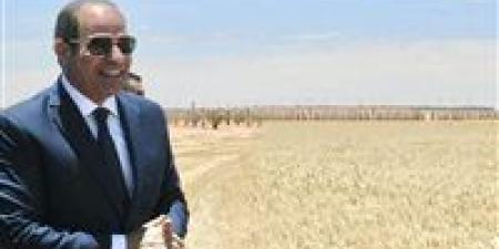 تعزيز الأمن الغذائي.. الرئيس السيسي يشهد موسم حصاد القمح 2025