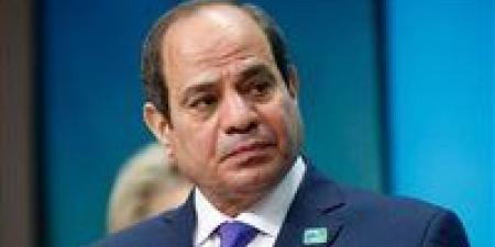 الرئيس السيسي: طرح أراضي زراعية جاهزة على القطاع الخاص للتملك أو الإيجار