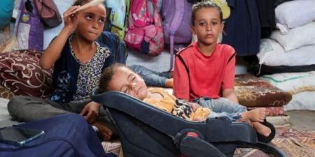 بعد تهديد بريطانيا وكندا وفرنسا بالتحرك ضد إسرائيل.. الأمم المتحدة تحذر: 14 ألف رضيع في غزة قد يموتون خلال 48 ساعة