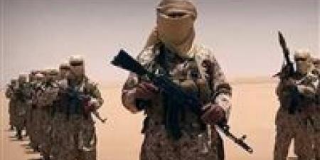 مقتل 5 عناصر من تنظيم القاعدة في غارات استهدفتهم جنوب اليمن
