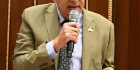 «برلمانية مستقبل وطن بالشيوخ»: تعديلات قانون الانتخابات عادلة