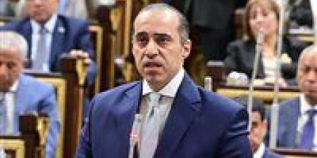 الوزير فوزي: الإشراف القضائي على الانتخابات مستمر من خلال أعضاء الهيئات القضائية.. وتدير الانتخابات هيئة مستقلة بخبرة كبيرة متراكمة