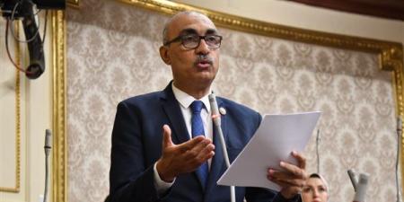 إيهاب منصور: نسبة المشاركة في الانتخابات عقب ثورة يناير تجاوزت 60%