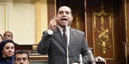 عمرو دوريش"نائب التنسيقية": قوانين الإنتخابات اتسقت مع الدستور وراعت التمثيل العادل والمتكافئ للسكان والمحافظات