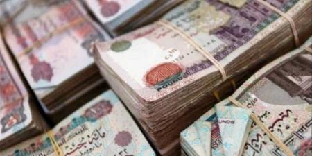 سعر الريال مقابل الجنيه المصري اليوم الثلاثاء 3-5-2025