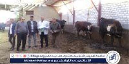 "الزراعة تطلق خطة شاملة لتحسين سلالات الماشية ورفع كفاءة الإنتاج الحيواني